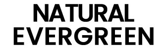 Brand 8